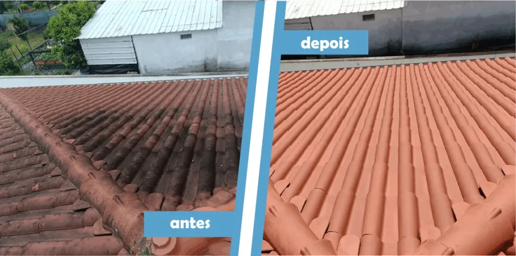 Limpeza de Telhados