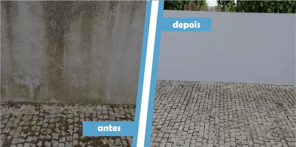 Limpeza de passeios